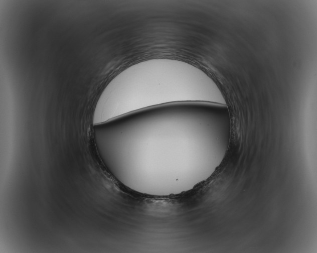 X0000086950475200704161101