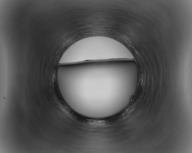 X0000086950476200704161101