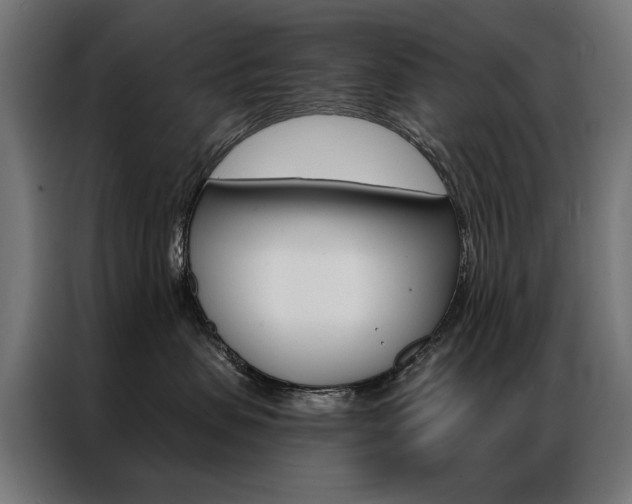 X0000086950479200704161101