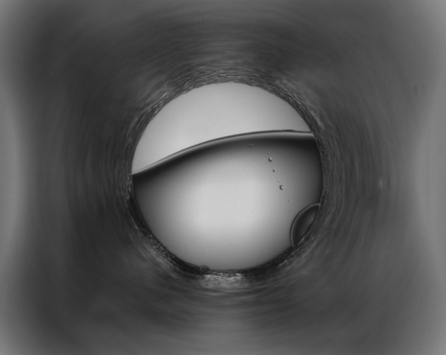 X0000086950480200704161101