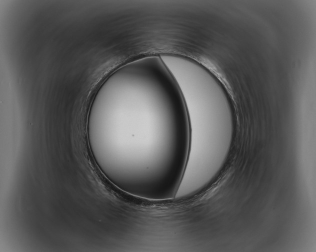X0000086950481200704161100
