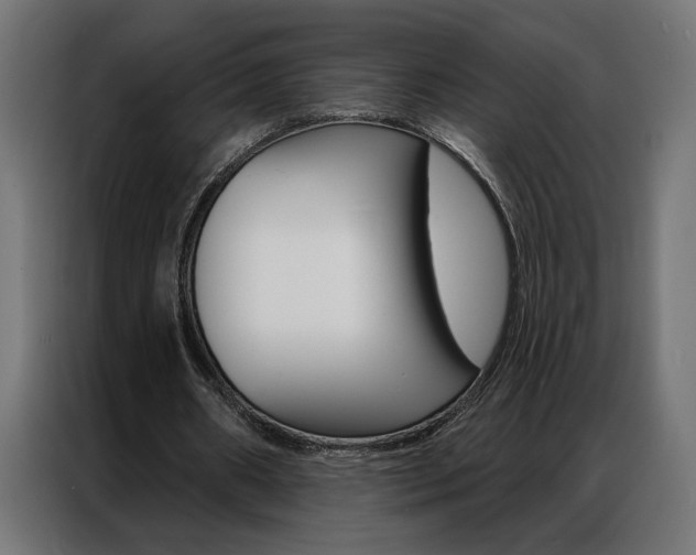 X0000086950482200704161100