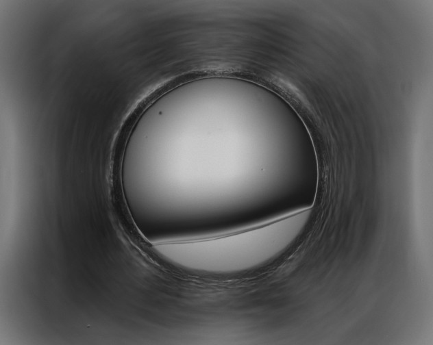 X0000086950484200704161100