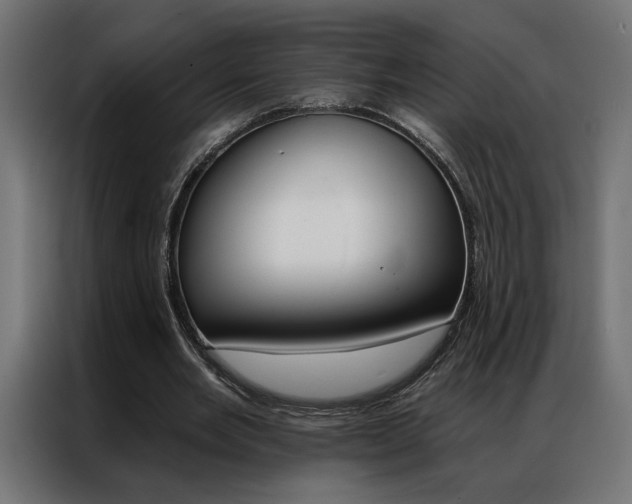 X0000086950485200704161100