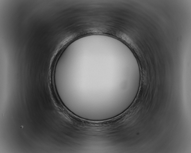 X0000086950486200704161100