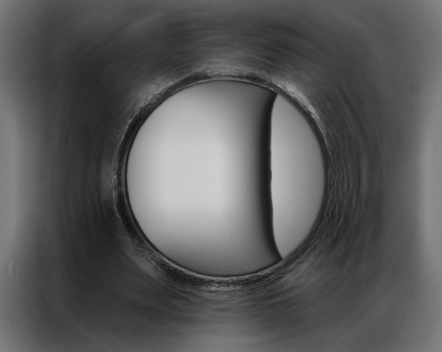 X0000086950487200704161100