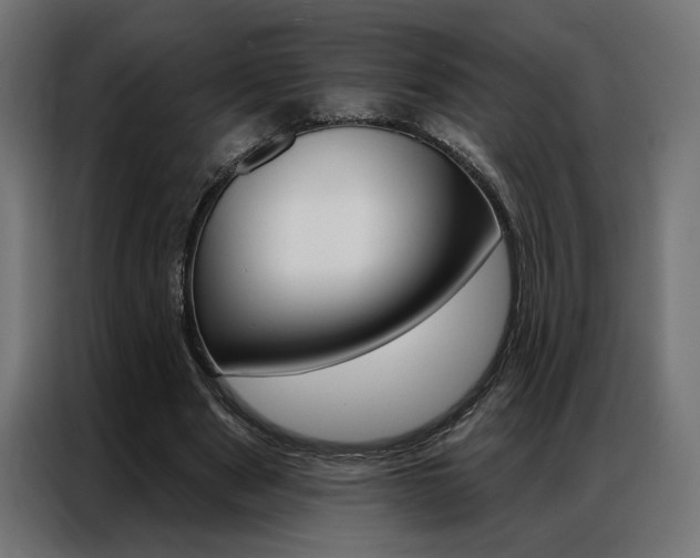 X0000086950489200704161100
