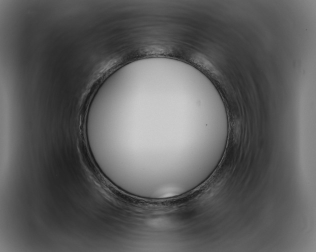X0000086950490200704161100