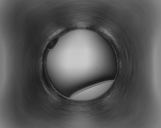 X0000086950492200704161100