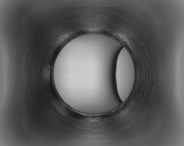 X0000086950495200704161100