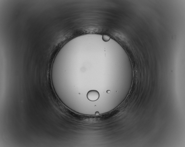 X0000086950499200704161100