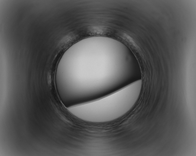 X0000086950500200704161100