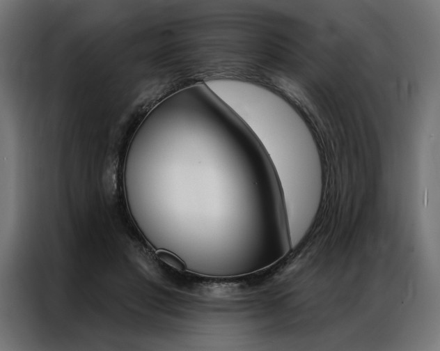 X0000086950501200704161100