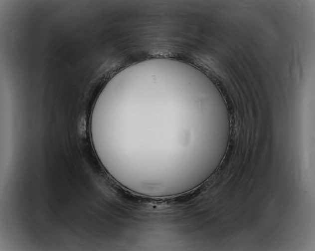 X0000086950502200704161100