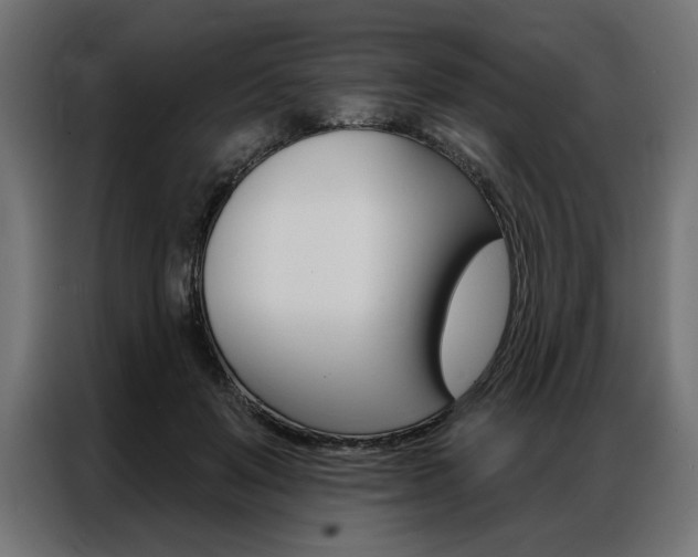 X0000086950503200704161100