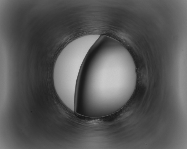 X0000086950505200704161100