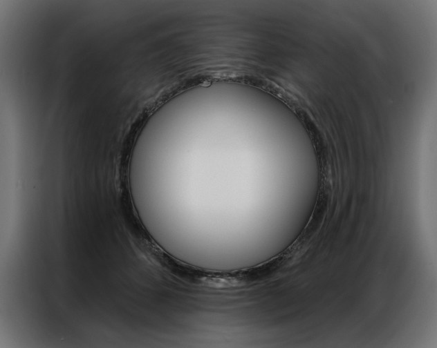X0000086950512200704161100