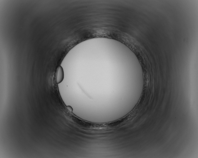 X0000086950514200704161100