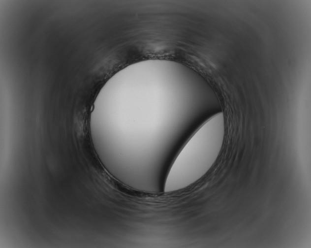 X0000086950515200704161100