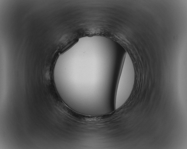 X0000086950516200704161100