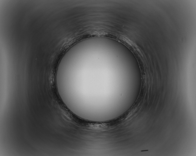 X0000086950517200704161100