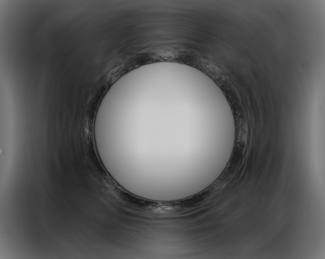 X0000086950518200704161100