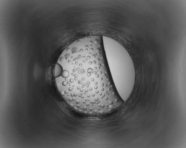 X0000086950519200704161100