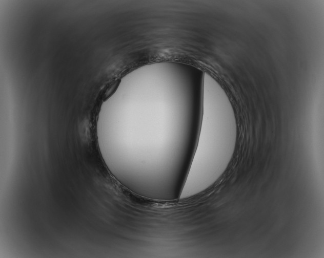 X0000086950520200704161100
