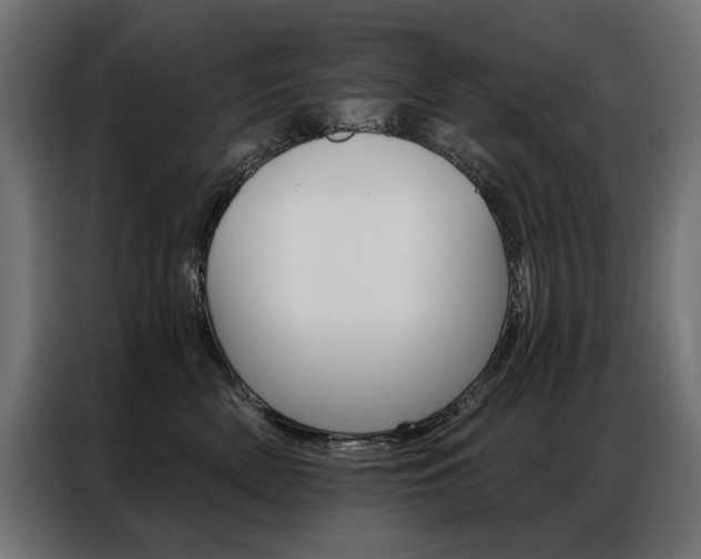 X0000086950522200704161100