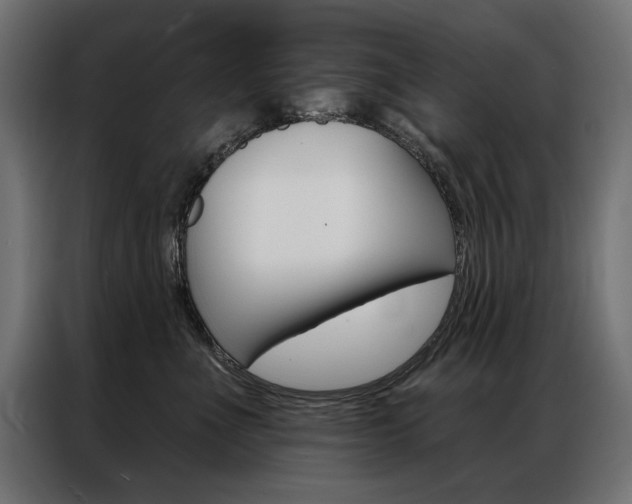 X0000086950523200704161100