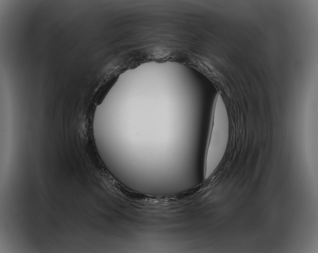 X0000086950524200704161100