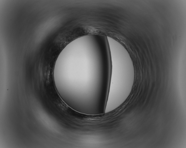 X0000086950525200704161100