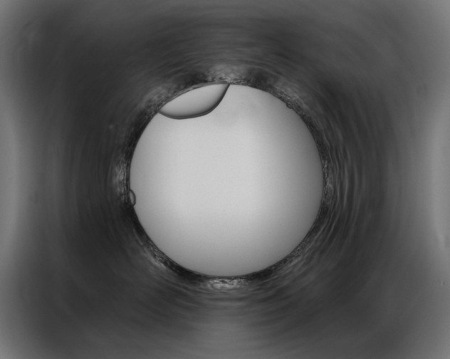 X0000086950526200704161100
