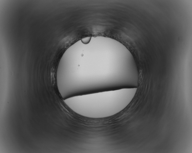 X0000086950527200704161100