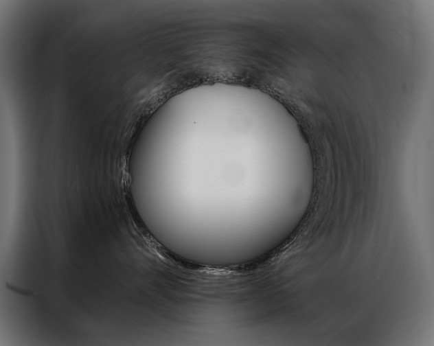 X0000086950528200704161100