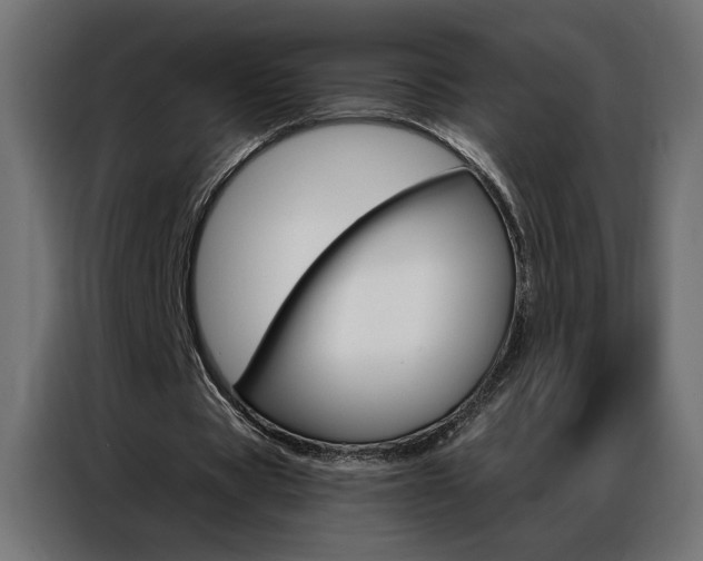 X0000086950529200704161059