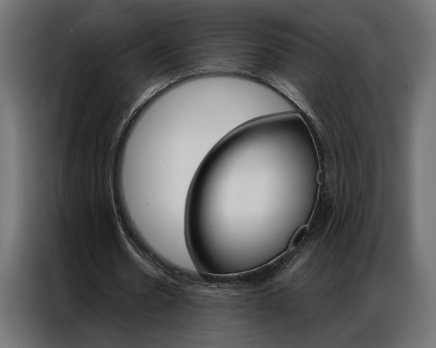 X0000086950530200704161059