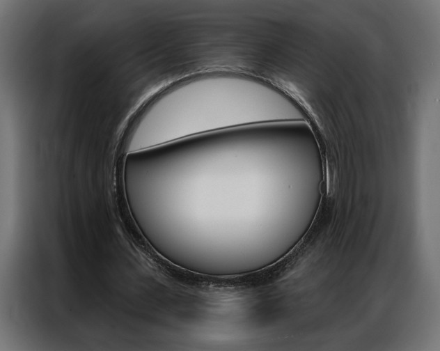 X0000086950531200704161059