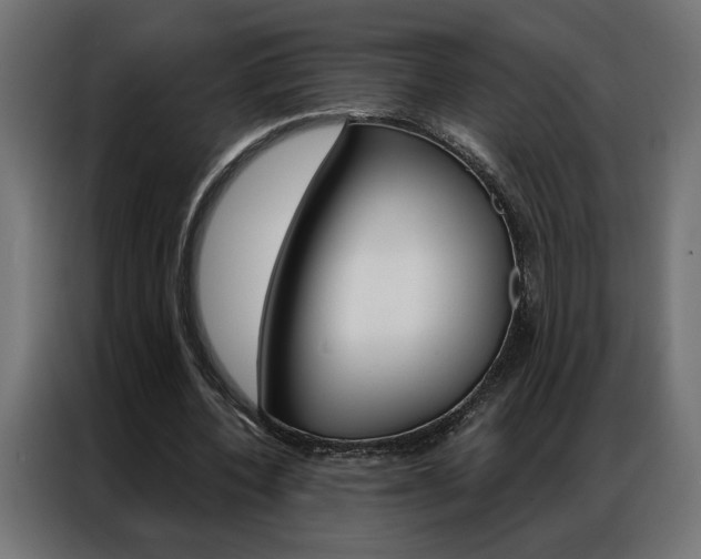 X0000086950532200704161059