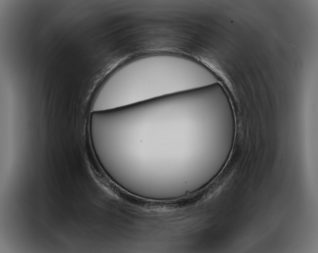 X0000086950533200704161059