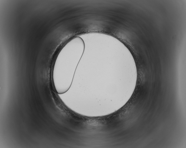X0000086950534200704161059