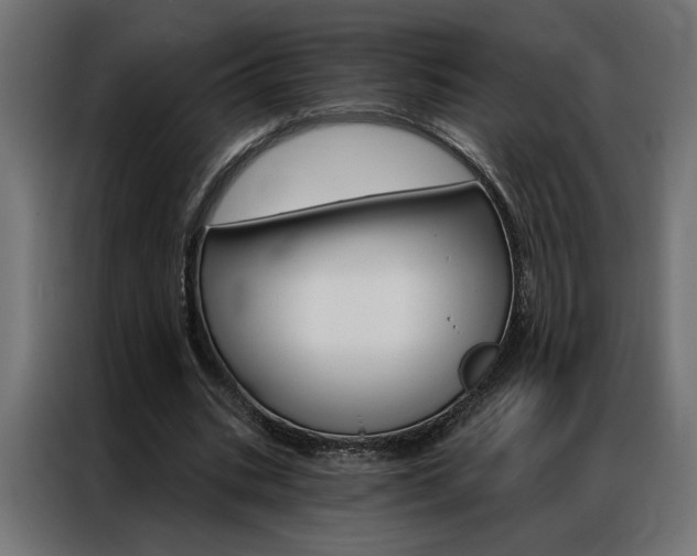 X0000086950535200704161059