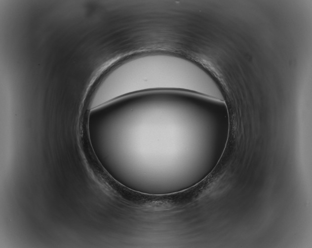 X0000086950536200704161059