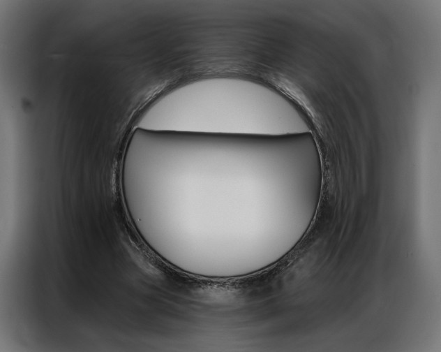 X0000086950537200704161059