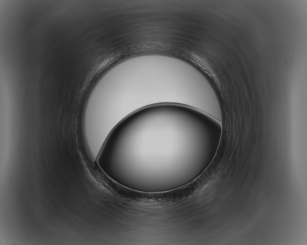 X0000086950538200704161059