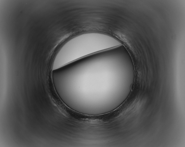 X0000086950539200704161059