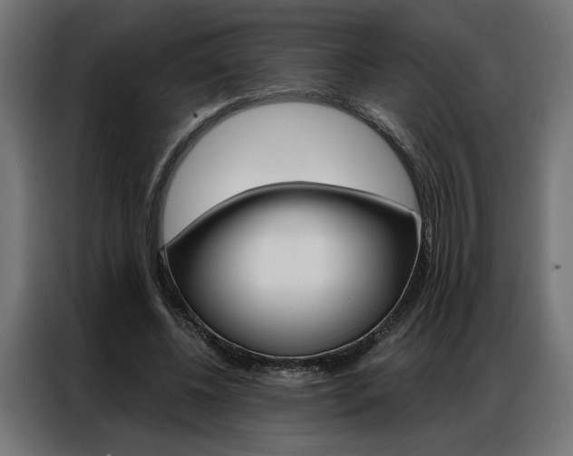 X0000086950540200704161059