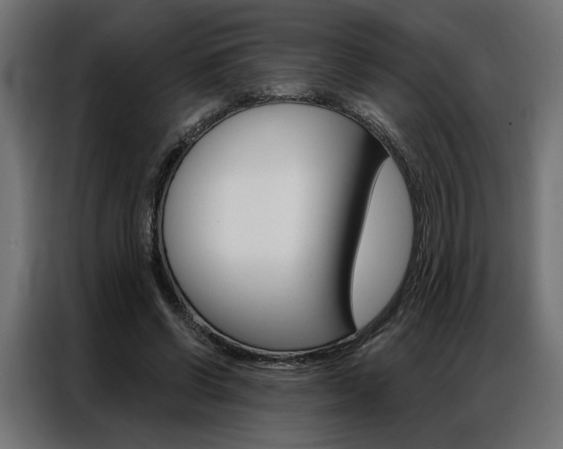 X0000086950542200704161059