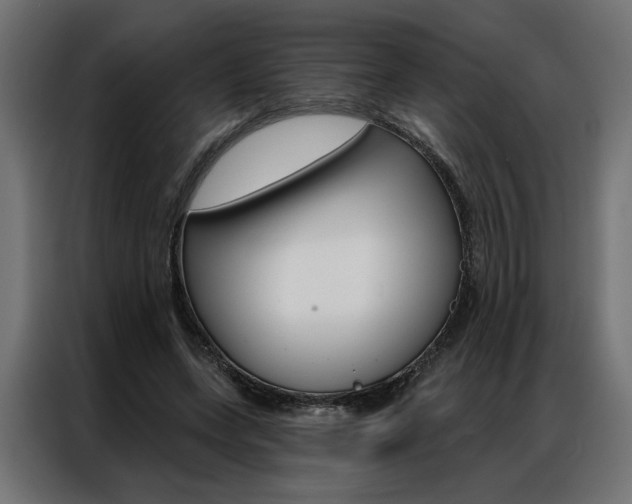 X0000086950543200704161059