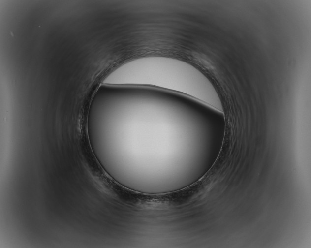 X0000086950546200704161059